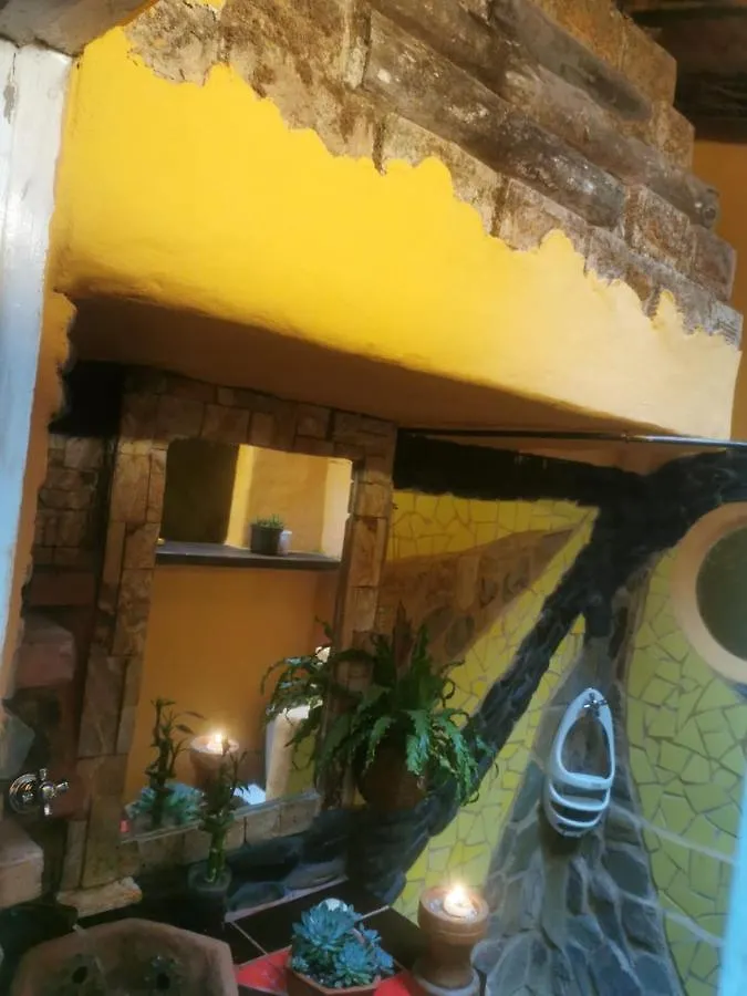 Botanico Hostal メデジン