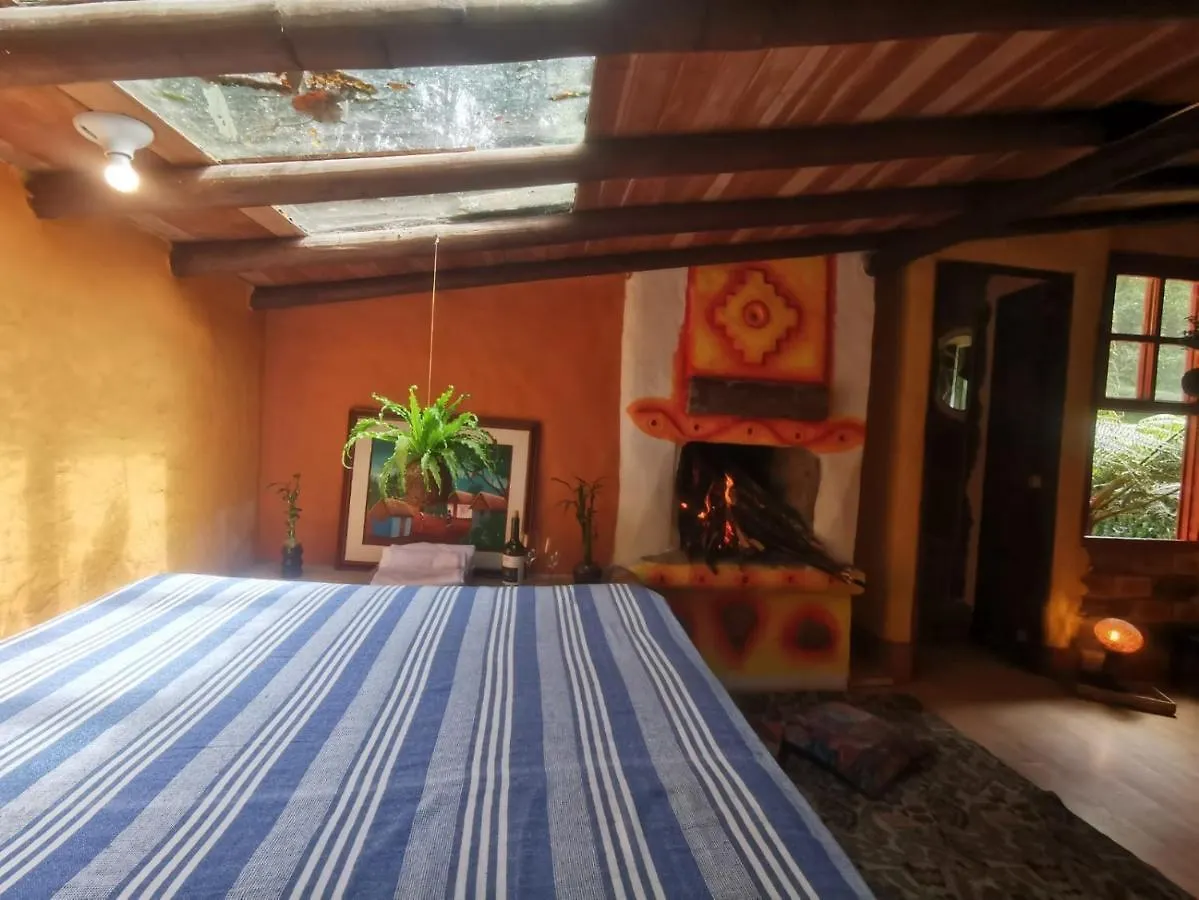 Botanico Hostal メデジン ゲストハウス