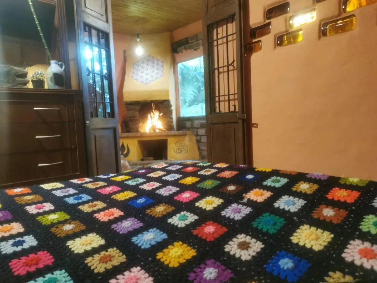 Botanico Hostal メデジン コロンビア