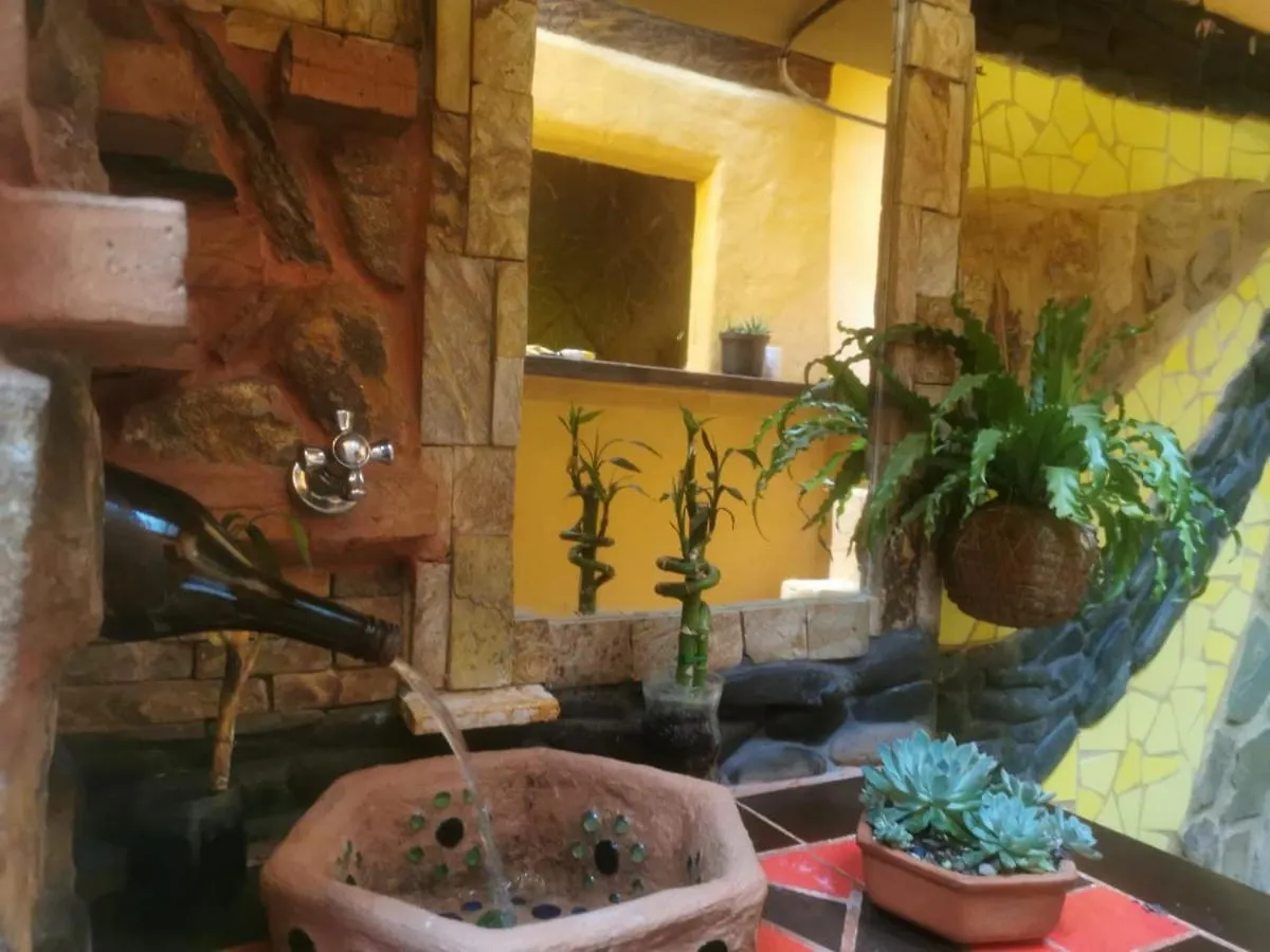 ゲストハウス Botanico Hostal メデジン コロンビア