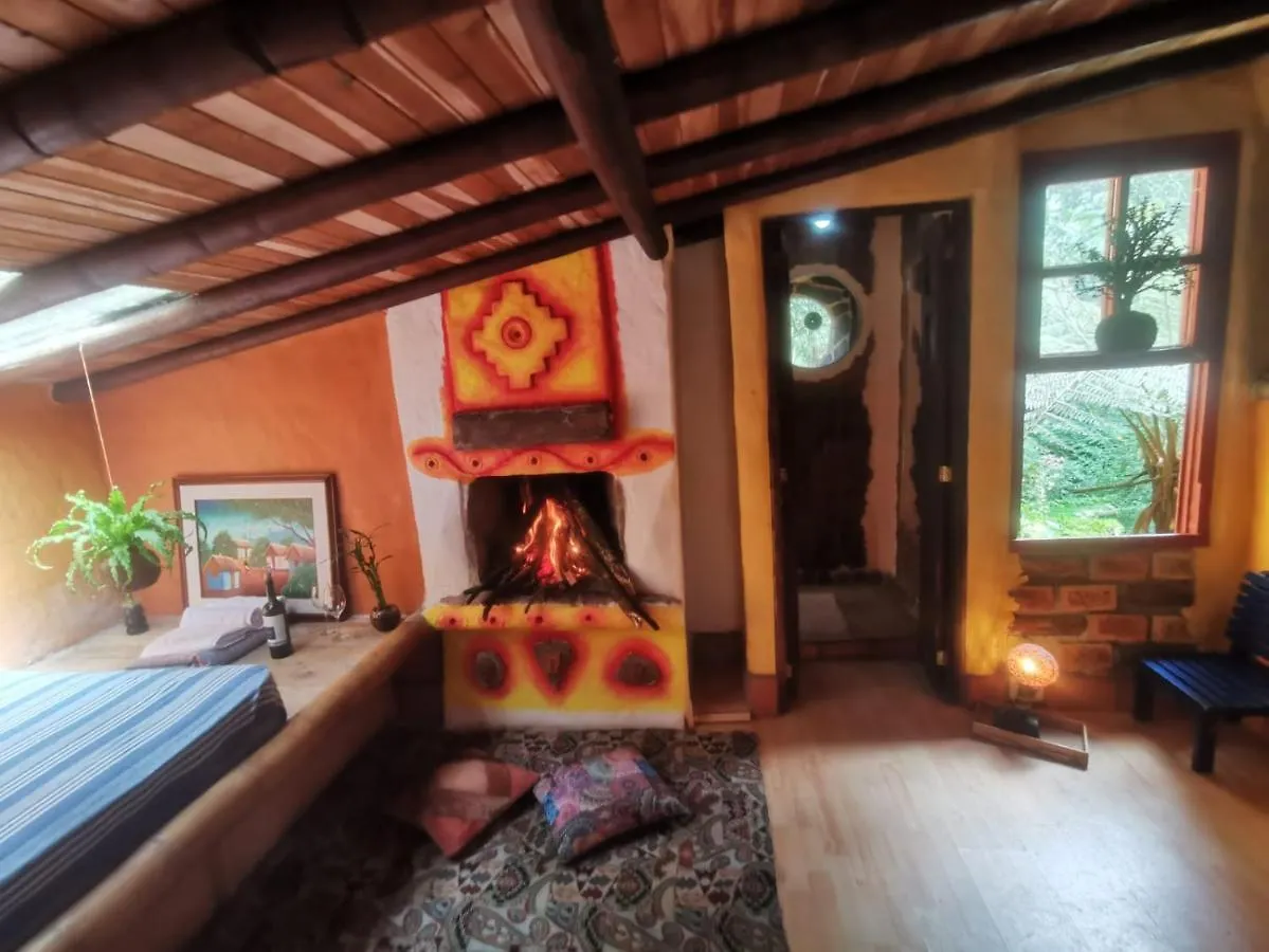 Botanico Hostal メデジン コロンビア