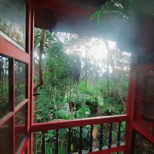 Botanico Hostal Medellín Pensión