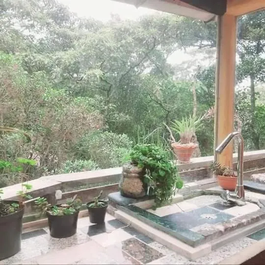 Pensión Botanico Hostal Medellín