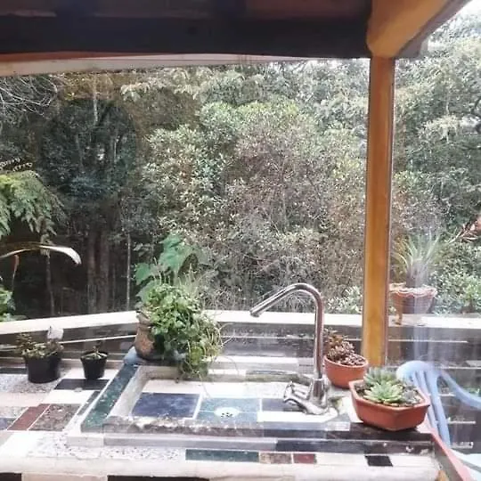 Botanico Hostal Medellín Pensión