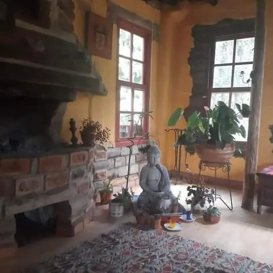 Pensión Botanico Hostal Medellín Colombia
