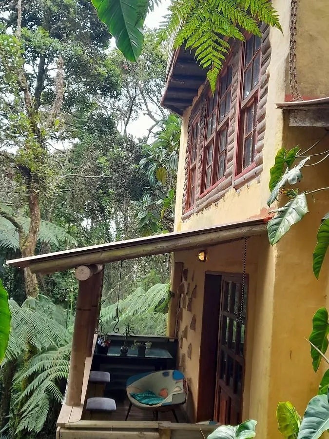 Botanico Hostal Medellín Pensión