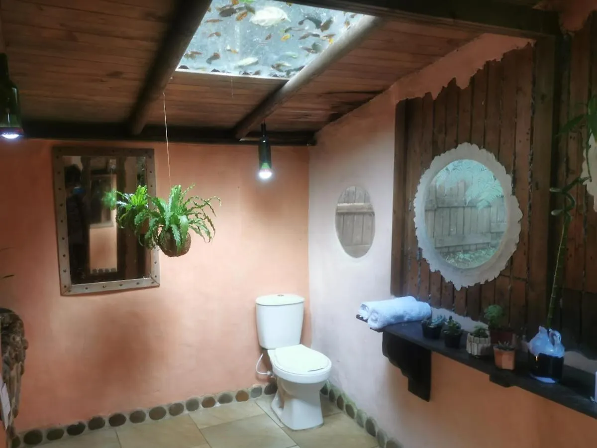 Botanico Hostal Medellín Colombia