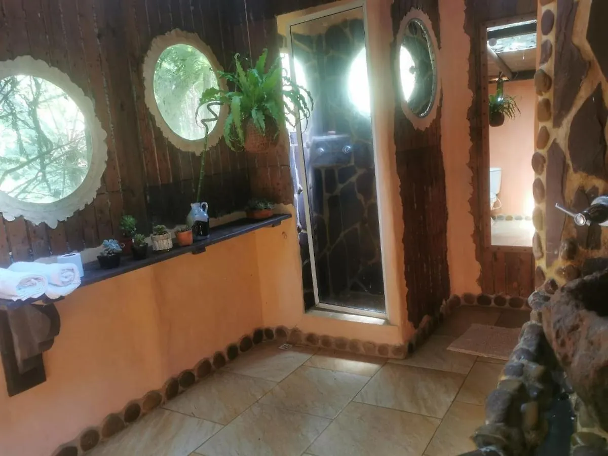 Botanico Hostal Medellín 0*,