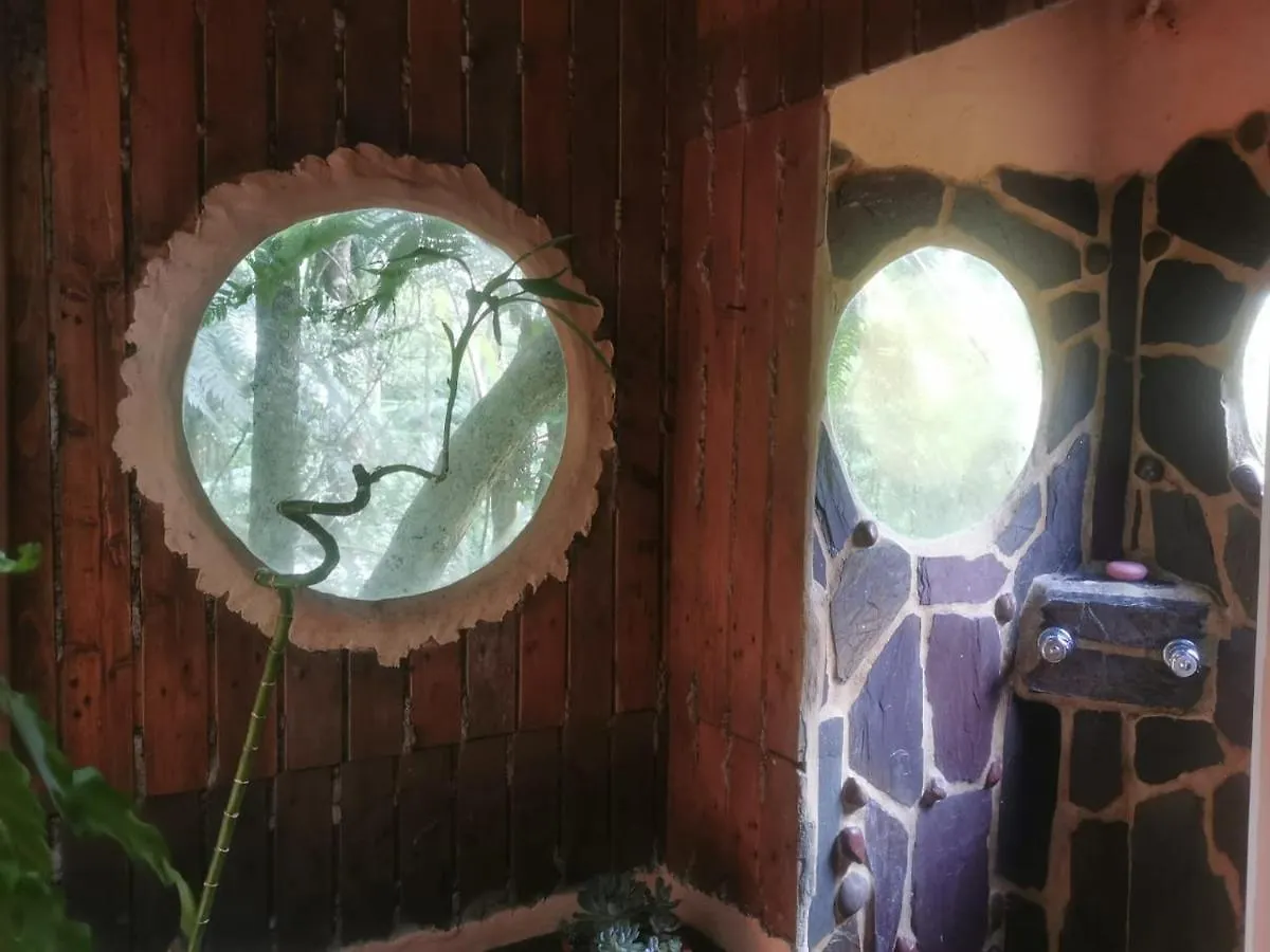 Botanico Hostal Medellín Pensión