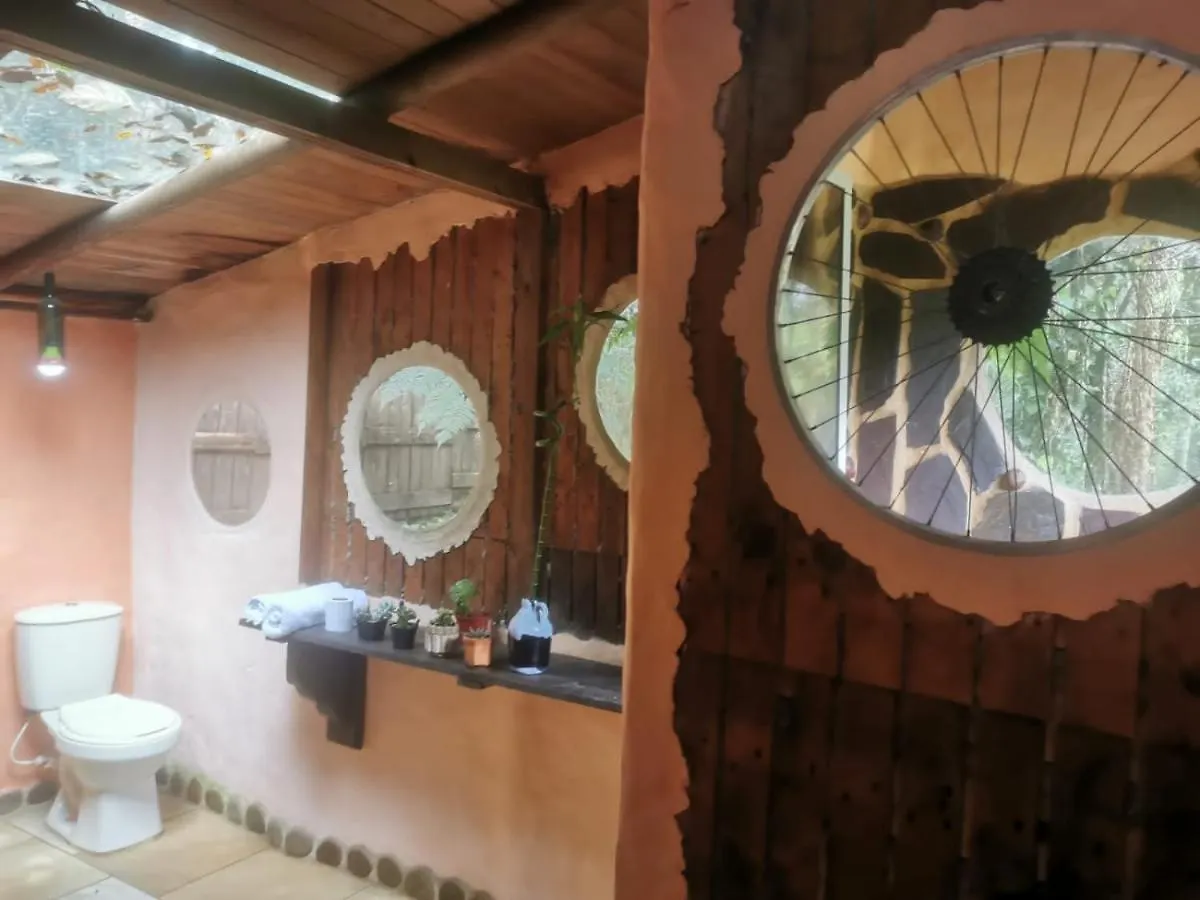 게스트하우스 Botanico Hostal 메딜린 콜롬비아