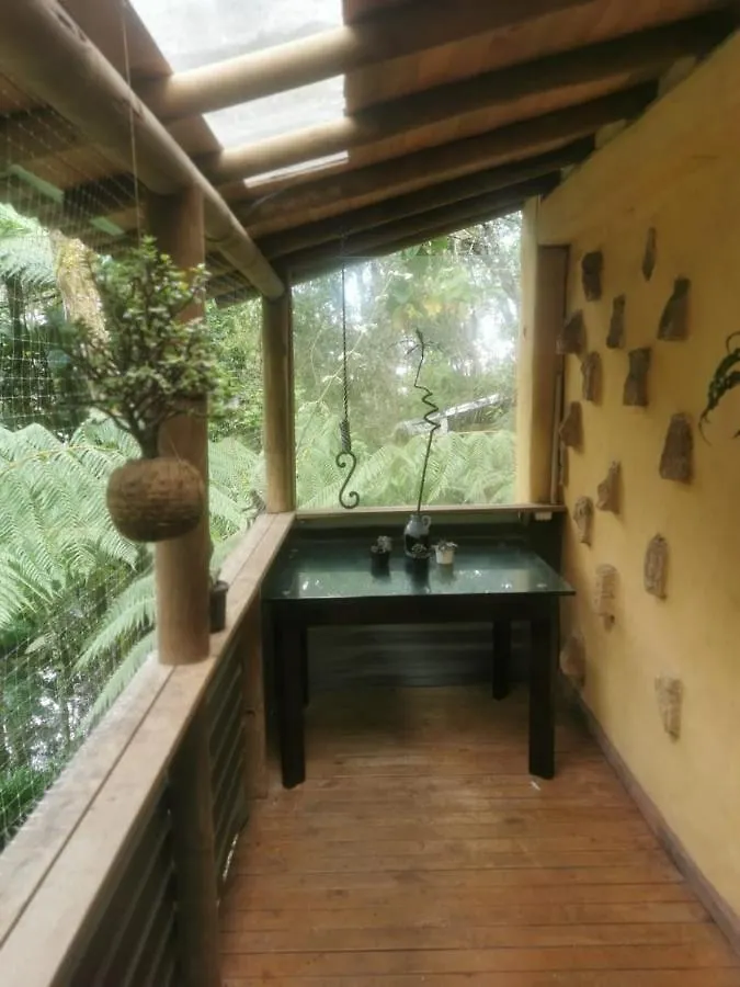 Botanico Hostal 메딜린 게스트하우스